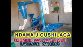 NDAMA JIGUSHILAGA UJUMBE WA NG'WEJI BY LWENGE STUDIO