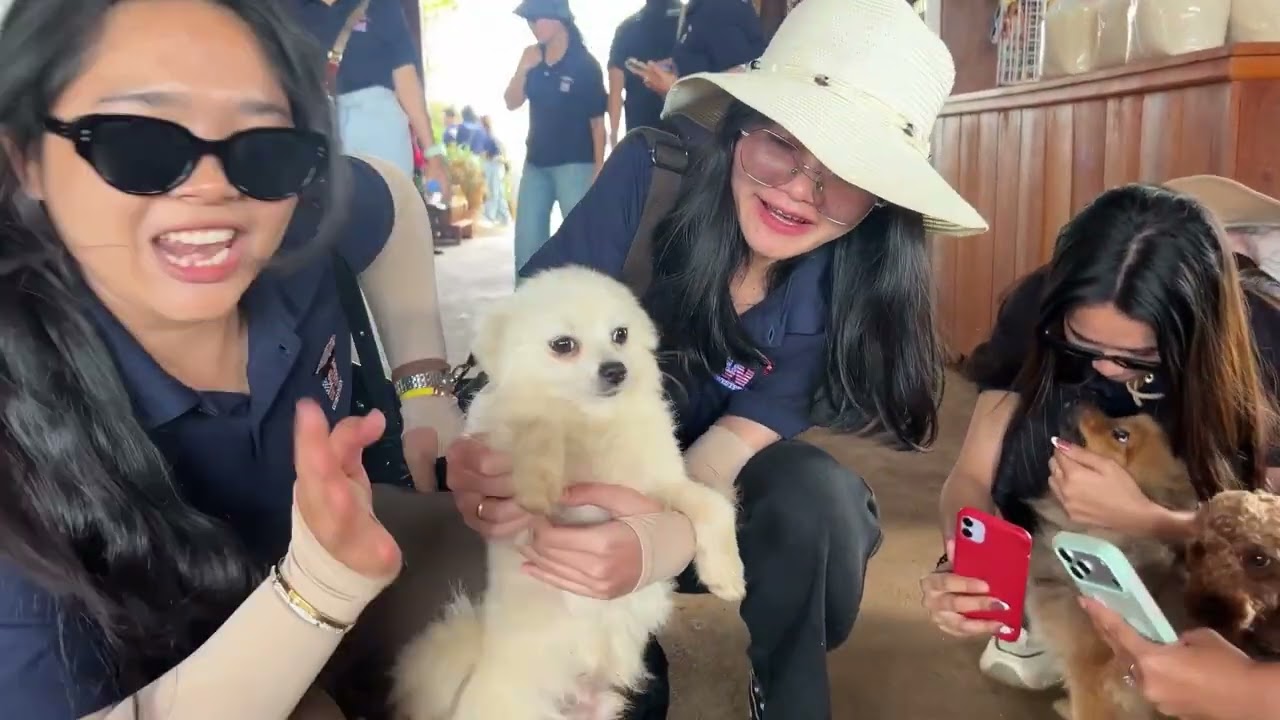 Day 2: Trip to MONDULKIRI (Coffee & tea plantation, Bousra Waterfalls, Sea & Wood Mountains)