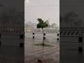 Kathmandu weather