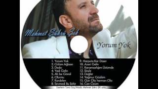 Mehmet Şükrü Şık - Yorum Yok 2010