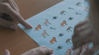 Multi-language Assessment Battery of Early Literacy (ENG)