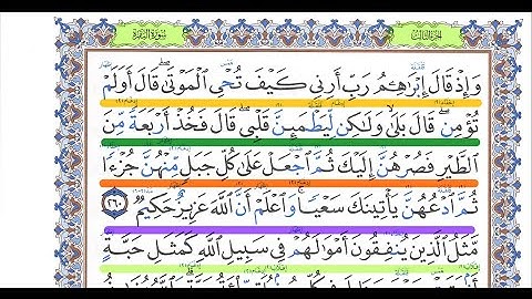 قبل رمضان تعلم القراءة الصحيحة سورة البقرة 264-260💥 احمد البربرى