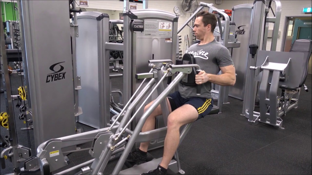 Seated Machine Row