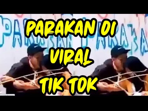 PARAKAN 01 VIRAL 🔴🔴🔴 TIK TOK VIRAL