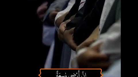 #قرآن حالات واتس قرآن كريم😴❣اجمل حالات واتس اب دينيه تلاوة تريح النفس