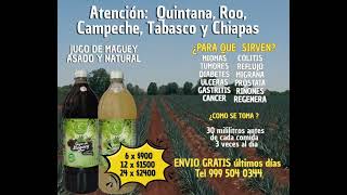 Jugo de maguey verde santo