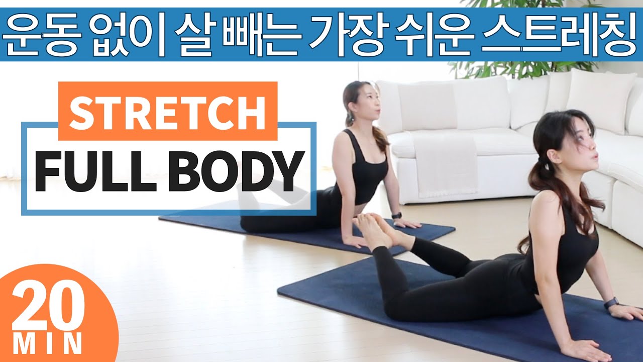 운동 없이 살 빠지는 전신 스트레칭) 매일 하는 쉬운 다이어트 전신 스트레칭 루틴 (체중감량 · 자세 교정 · 체형교정 스트레칭) // 피로회복 · 붓기제거 ·무기력 극복·골반교정