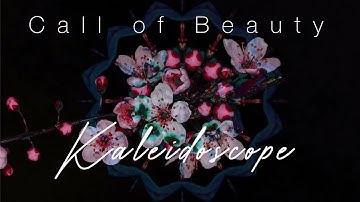 Kaleidoscope Animated Video