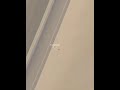 Saturn #shorts #science #moon