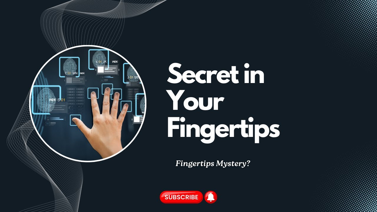 Fingerprints | The Mystery of Fingertips | Secrets You Never Knew | Little Stars🌟