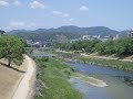 谷山浩子 河のほとりに