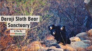 Hampi - Daroji Sloth Bear Sanctuary