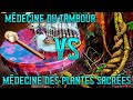 Médecine du Tambour VS Médecine des Plantes Sacrées - feat Laetitia Merli