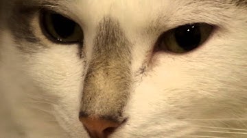 Pentax K-30 Video clip