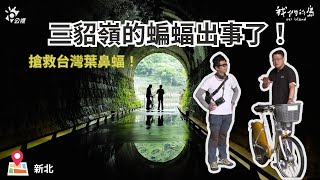 三貂嶺隧道出事啦！搶救台灣葉鼻蝠！｜ft.生態隧道景觀設計師吳忠勳｜聰到現場EP.1 公視我們的島