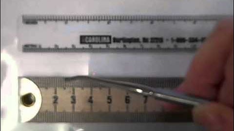 Using the metric ruler
