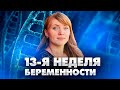 13 недель беременности. Полезная информация от акушер-гинеколога.