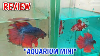 REVIEW AQUARIUM MINI MURAH ( akuarium Mini )