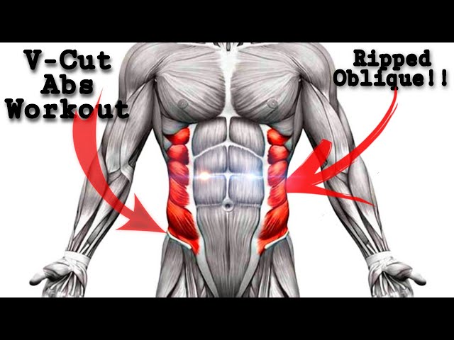 absworkout #obliques #6pack  V-CUT ABS WORKOUT ( no equipment