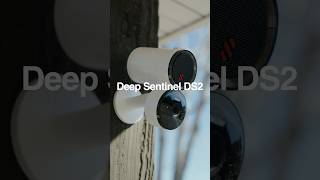 🔥 ULTIMATE Security Camera for my Home! | Deep Sentinel DS2