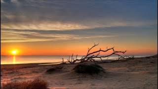 House Victimz feat.Teezo & Carol - Forgiveness (Love Break Remix)