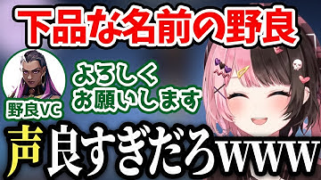 卑猥な名前の野良VCがあまりにも爽やか過ぎて大爆笑するひなーの【橘ひなの/切り抜き】