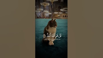 Surah Al-Ikhlas #قرآن #allah #quran #islam #سورة_الإخلاص #راحة_نفسية