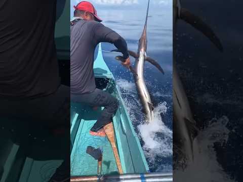 طريقة صيد سمكة أبو سيف عملاقة