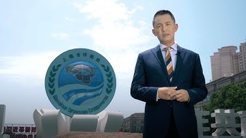 What is the mission and vision of SCO?