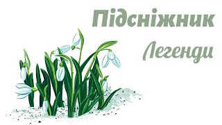 Підсніжник - перша весняна квітка🌸 Легенди про підсніжник