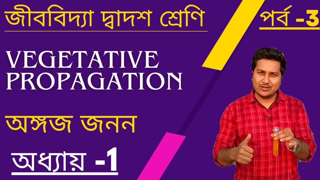 Class12 Biology in Bengali Unit1/Chapter1/Vegetative Propagation/Reproduction/অঙ্গজ জনন/Part3