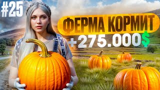 :   ! ,     GTA 5 RP MAJESTIC   #25