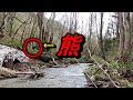 子供と渓流釣りしてたら熊でた の動画、YouTube動画。