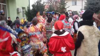 Capra Din Dancu 2016 - 2017