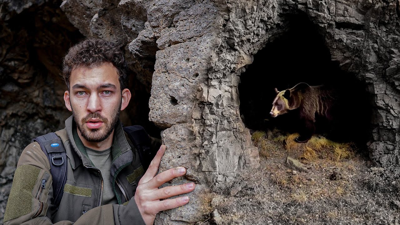 TEHLİKELİ KEŞİF: DEV BOZ AYI KESİK KULAĞIN İNİNE ADIM ATMAK!