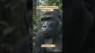 tell about our marriage life #comedy #gorilla #mindvoice 🤣🤣🤣
