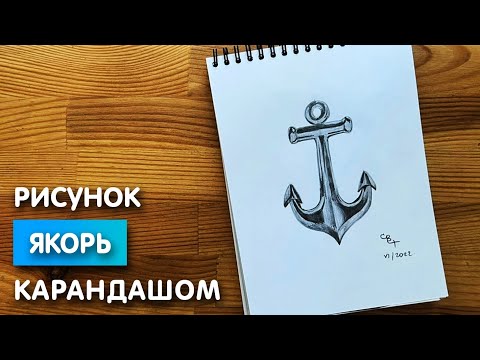 Видео: 4 способа остановить агрессивную кошку