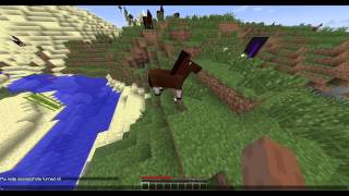 MoreCommands Command: ignite