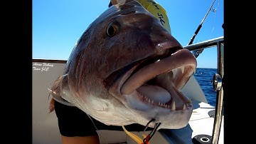 SAMA ataca al Xipi JLC - RED SNAPPER attack |JIGGING con VINILOS|   [Full HD]