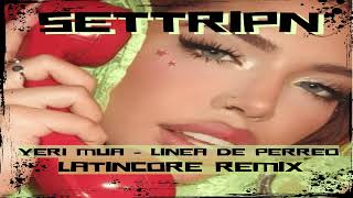 YERI MUA - Linea De Perreo (Settripn Remix)
