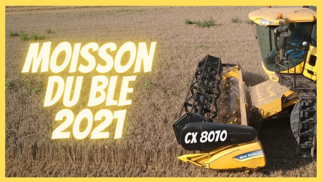 ⁣Moisson du Blé 2021