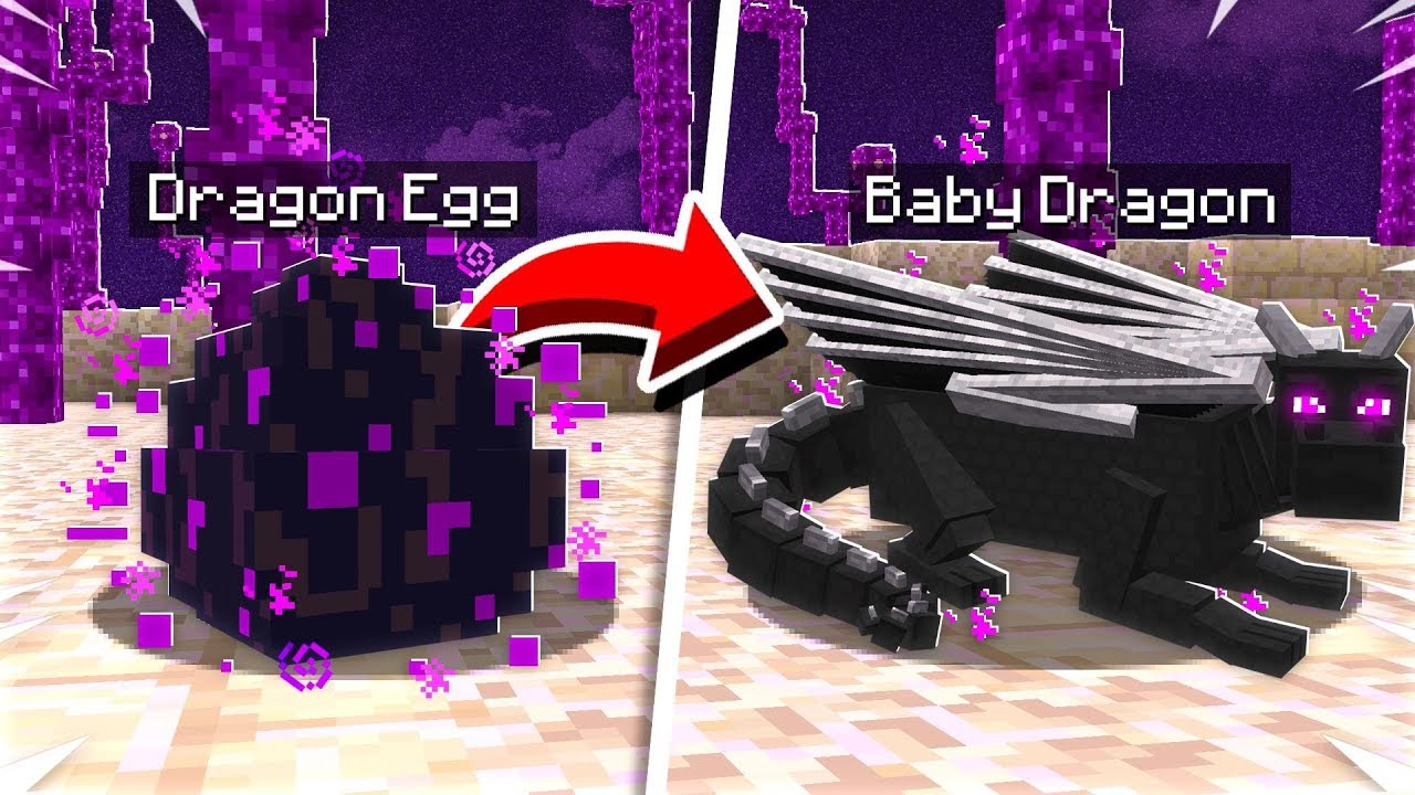 HATCHING BABY MINECRAFT DRAGON EGGS! - YouTube