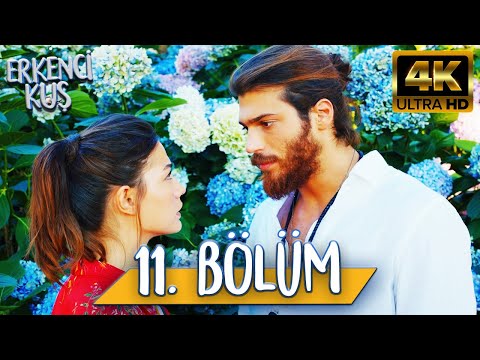 Erkenci Kuş 11. Bölüm (4K ULTRA HD)