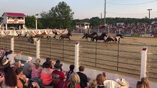 Cowtown Rodeo 2020 ~ Spirit of America | Horses