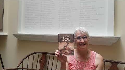 Summer reading program- Imagine your story Booktalks with Miss Amy