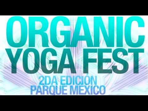 YOGA FEST amistad meaning