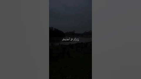 تلاوة رائعة لما تيسر من سورة آل عمران..🤍#قران #قرآن #قرآن_كريم #اللهم #الله #سورة #تلاوة #تلاوةخاشعة