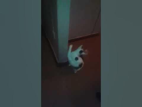 Безумные глаза. - YouTube