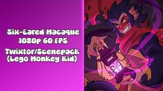 Six-Eared Macaque Twixtorscenepack 1080P 60 Fps Lego Monkey Kid