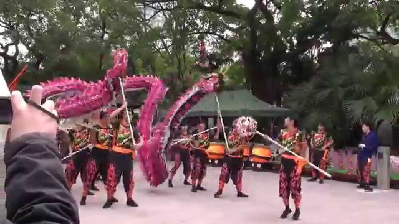 Download 功夫閣 20121230-2 郭氏功夫金龍醒獅團 Kwok's Kung Fu & Dragon Lion Dance Team